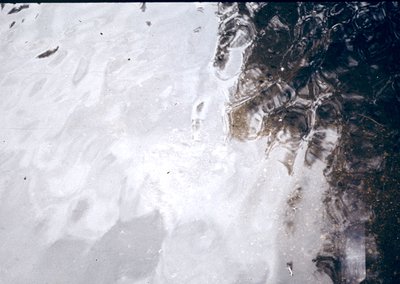 Aerial view of a coastal landscape with snow-covered terrain transitioning to a densely vegetated area. The snow appears undi...