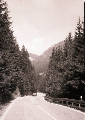 Black-and-white alpine road winding through dense coniferous forest, flanked by guardrails. A vintage car ascends toward snow...