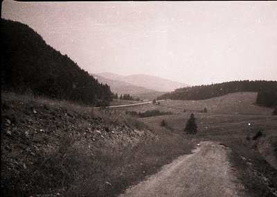 Vintage black-and-white landscape of a winding rural road flanked by forested hills, leading toward distant mountains. Overgr...