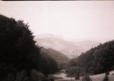 Vintage sepia-toned landscape featuring dense coniferous forest framing a misty valley and distant mountain ridge. Likely ear...