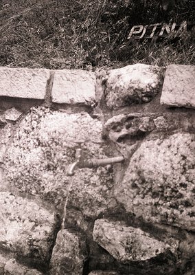 Close-up of weathered stone wall with rough-hewn blocks and visible mortar erosion. Overgrown grass and blurred text ("PITNA"...