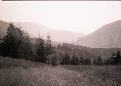 Vintage sepia-toned landscape of forested hills with sparse pine trees in foreground, likely early 20th century. Misty atmosp...