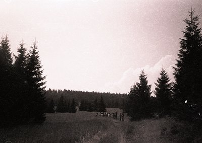 Black-and-white forest scene with a group of 12+ people standing on a grassy clearing, framed by dense coniferous trees. Dist...
