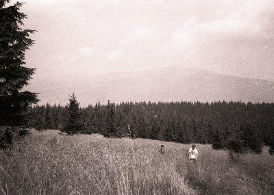 Black-and-white landscape featuring two figures in mid-20th century attire traversing a grassy hillside. Dense forest and mis...
