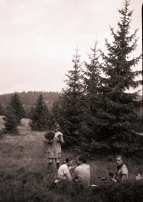 Black-and-white forest scene featuring four individuals in outdoor work attire, likely mid-20th century. Three sit on grass n...