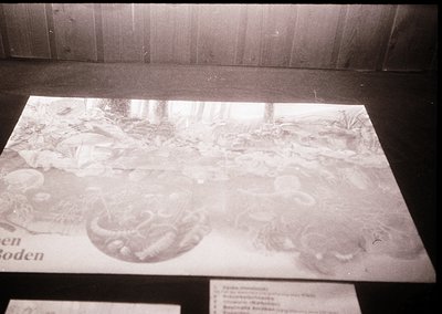 Vintage black-and-white display of a 19th-century Dutch still-life painting featuring a table laden with food, including a la...