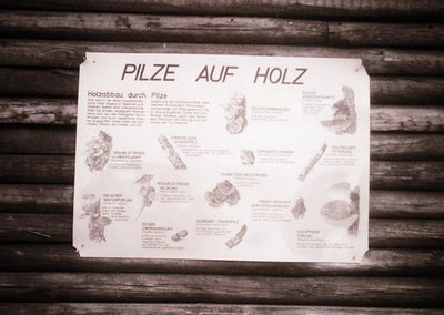 Vintage wooden sign detailing fungal growth on timber, titled *"PILZE AUF HOLZ"* (German for "Fungi on Wood"). Illustrations ...
