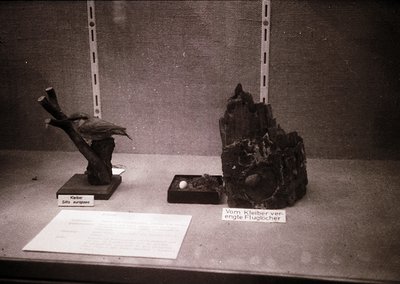 Artistic sculptures displayed in a museum setting. Left: bronze stork perched on twisted branch pedestal labeled *"Kleber Sto...
