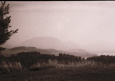Vintage black-and-white landscape featuring misty, rolling hills and dense forest. Foreground grass appears slightly overgrow...