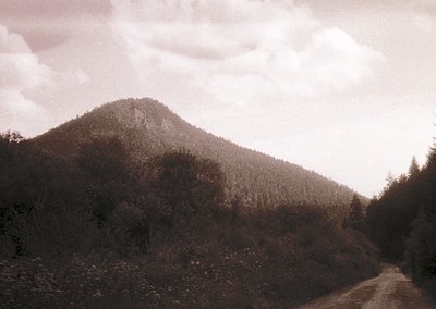 Vintage sepia-toned mountain landscape with dense forest and winding dirt road. Dramatic cloud cover frames the peak, evoking...