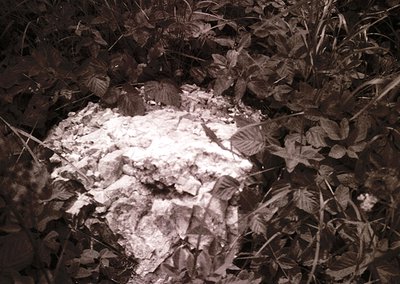 Close-up of a snowdrift partially buried under autumn foliage, likely in a temperate forest. The contrast between white snow ...