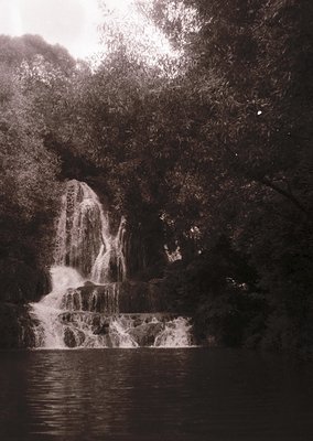 Black-and-white monochrome shot of a cascading waterfall framed by dense forest foliage, reflecting on still water below. Dra...