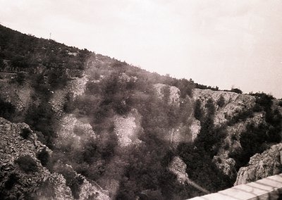 Black-and-white aerial view of rugged, eroded rock formations resembling abstract organic shapes. Dense vegetation clings to ...