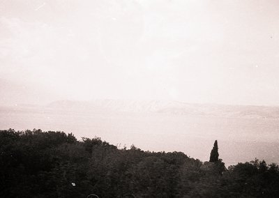 Vintage sepia-toned coastal landscape with misty horizon and lone tree silhouette on rocky outcrop. Dense forest frames lower...