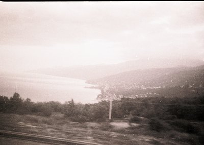Vintage black-and-white coastal landscape with misty horizon and distant hills. Roadside telegraph pole and sparse vegetation...