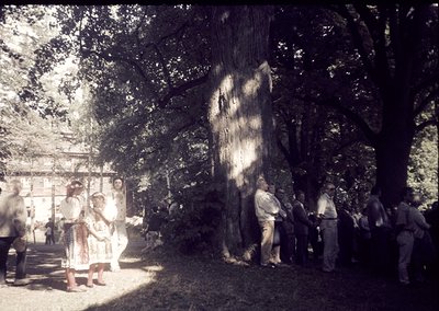 Vintage sepia-toned photo of a large, ancient tree trunk displayed outdoors, surrounded by a crowd in traditional attire. Sto...