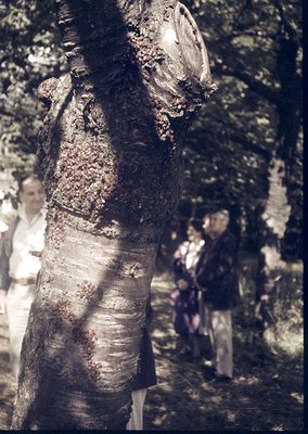 Close-up of a weathered wooden post with graffiti-like markings, likely from a traditional or ceremonial structure. Blurred f...