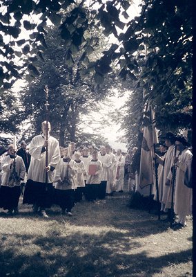 Religious procession featuring clergy in white vestments, holding candles and banners under dappled sunlight through trees. L...