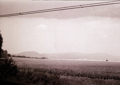 Black-and-white rural landscape featuring low-lying hills under overcast skies. Foreground shows dense cornfield with power l...