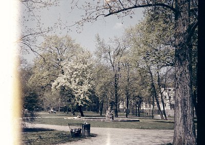 Vintage sepia-toned park scene with bare trees and sparse foliage, suggesting early spring or late autumn. A lone bench and t...