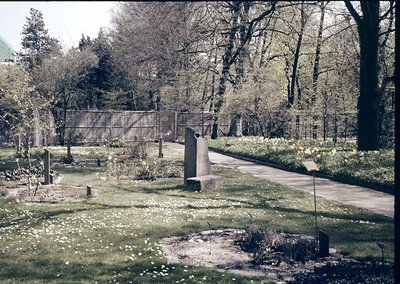 Vintage sepia-toned cemetery pathway flanked by mature trees and headstones, featuring a central concrete monument and circul...