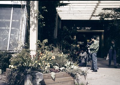 Vintage 1970s photo of a Soviet-era residential courtyard. Concrete panel architecture with large windows, overgrown flower b...