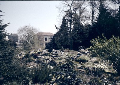 Vintage black-and-white shot of a rocky hillside with sparse vegetation, framed by leafless trees. Mid-century modernist buil...