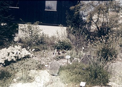 Vintage black-and-white garden scene featuring a small, minimalist wooden structure with a sloped roof and hanging light fixt...
