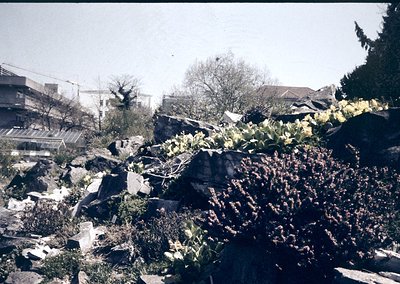 Urban landscape post-disaster with exposed rocky terrain and scattered debris. Residential buildings in background show signs...