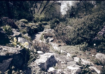 Rustic stone pathway winding through overgrown garden with wildflowers and shrubs. Partial view of aged stone structure in ba...