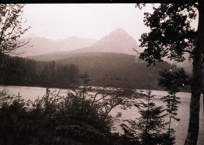 Vintage black-and-white alpine lake scene with jagged peaks in misty background. Dense coniferous forest frames serene water,...