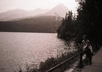Black-and-white shot of a lone figure standing on a lakeside wooden path, surrounded by dense coniferous forest and towering ...