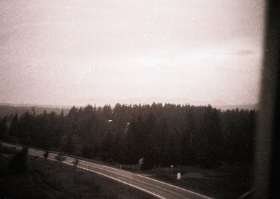 Vintage black-and-white shot of a rural road bordered by dense evergreen forest under overcast skies. The composition suggest...