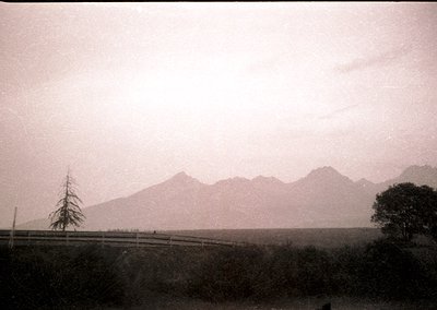 Vintage sepia-toned landscape featuring misty mountain range with jagged peaks. Wooden fence and lone evergreen tree frame fo...