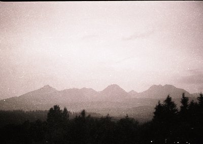 Vintage sepia-toned mountain range with misty peaks and dense forest foreground. Likely captured with early 20th-century film...