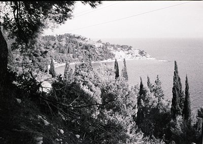 Mid-century coastal landscape featuring dense Mediterranean vegetation—cypress and pine trees—along a cliffside. A low-lying,...