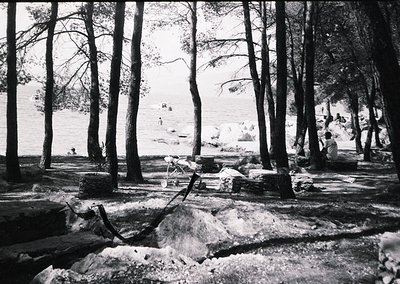 Black-and-white lakeside scene featuring dense forest framing a rocky shoreline. A lone figure sits on a rock near the water’...