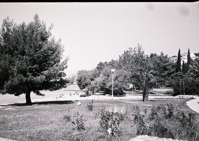 Mid-century urban park with paved pathways, mature trees, and a small pond. Classic streetlamp and low stone wall visible. Li...