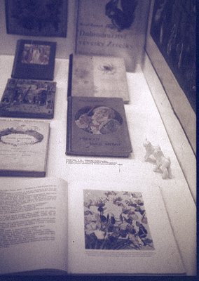 Vintage books and pamphlets displayed under glass, featuring Czech/Central European typography and illustrations. Prominent t...