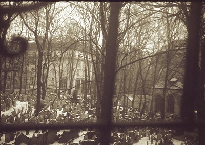Vintage sepia-toned photograph showing urban devastation: shattered buildings, debris, and skeletal trees framing a bombed st...
