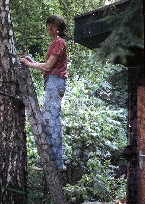 A person in a patterned, knee-length skirt and red top climbs a moss-covered wooden ladder in a lush, green forest. Reflectio...