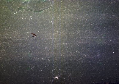 Aerial view of a dark, reflective water surface with faint grid-like light trails, likely from a long-exposure shot. A lone b...