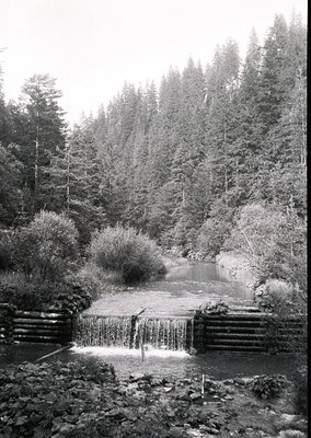 Dense forest framing a cascading waterfall over stone steps into a rocky stream, likely mid-20th century. Natural light enhan...