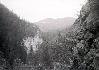 Misty mountain valley with rugged cliffs and dense coniferous forest, captured in early 20th-century sepia-toned photography....