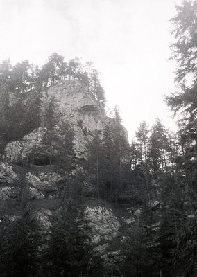 Misty alpine rock formation surrounded by dense coniferous forest, captured in monochrome. The rugged cliff face and vertical...