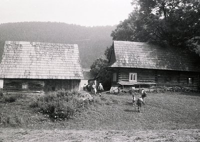 Traditional log cabins with steep shingle roofs in a rural, misty valley. Two people and a horse-drawn cart in foreground. Li...