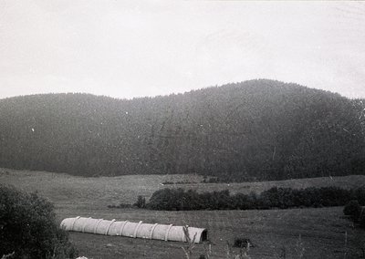 Vintage black-and-white landscape featuring rolling hills and dense forest in the background. Foreground shows rolled hay bal...