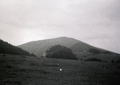 Black-and-white landscape featuring a forested mountain ridge with sparse vegetation in the foreground. Mist or low clouds pa...