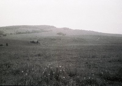 Vintage black-and-white landscape of rolling hills and open meadows with sparse vegetation. Distant tree clusters and faint h...