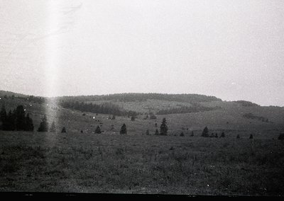 Vintage black-and-white landscape of rolling hills and sparse forest, likely mid-20th century. Low-angle shot captures undula...